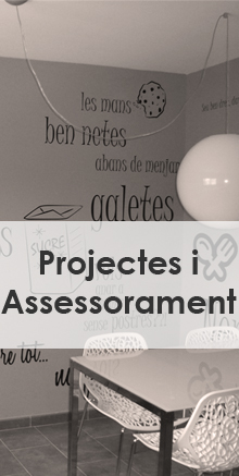 Projectes i 3D